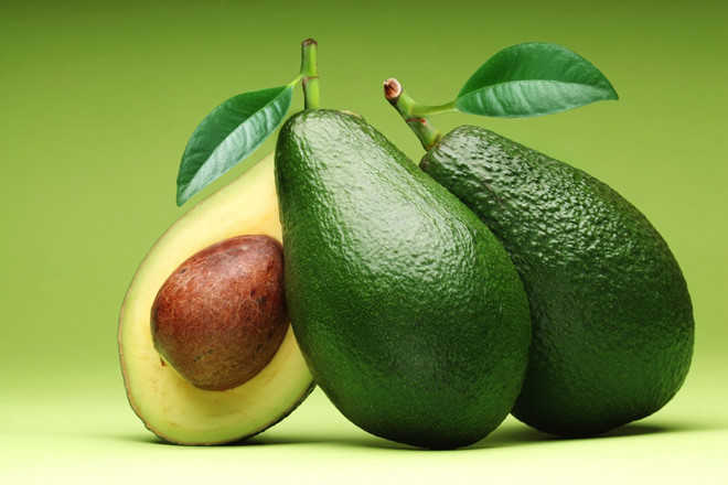 Searching for frozen diced avocado suppliers